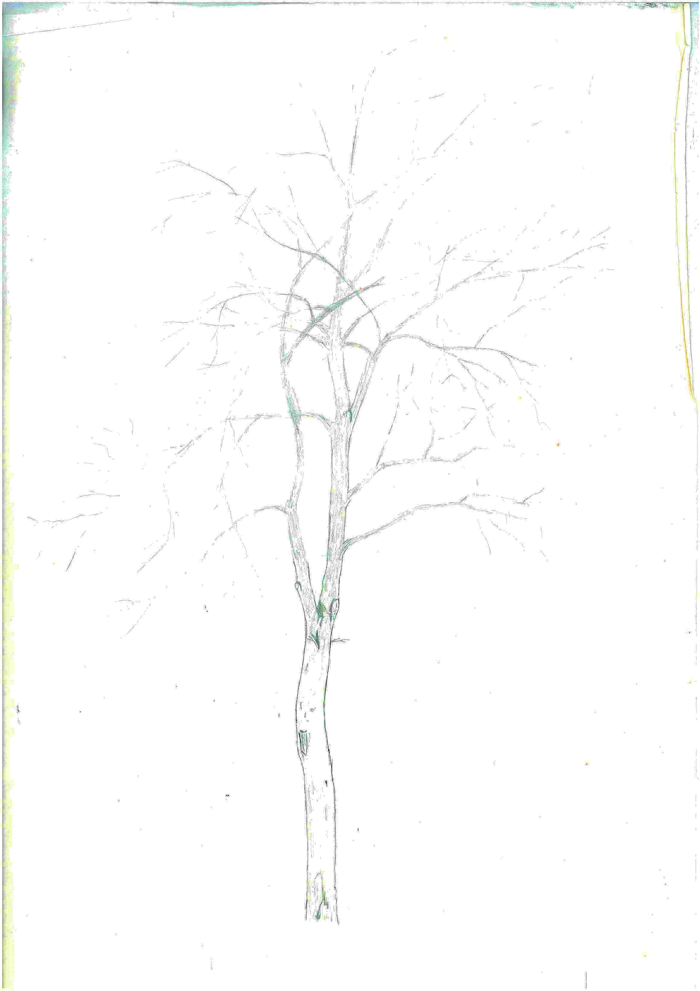 Bleistift auf Papier